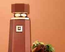 Ətriyyat French Avenue Liquid Brun