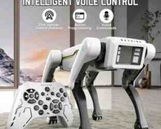 Oyuncaq robot it