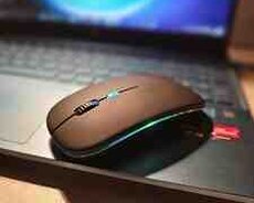 Wireless Maus