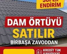 Dam örtüyü