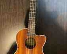 Ukulele