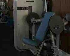 TechnoGym selection arm curl