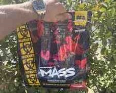 İdman qidası Mass Geyner