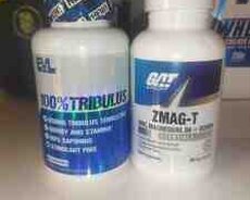 İdman qidası Tribulus ZMA