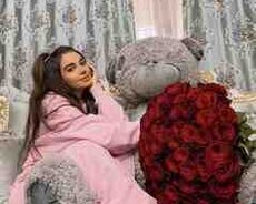 Teddy