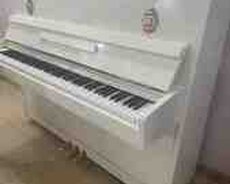 Pianolar
