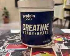 Protein Ocn Creatine 300q