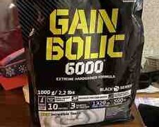 İdman qidası Gain Bolic