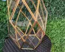 Terrarium qabları
