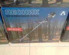 Otbiçən Lesnik