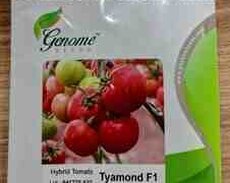 Pomidor hibridi Tyamond F1