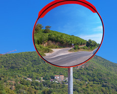 Yol guzgusu