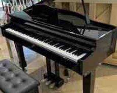 Elektron royal Avanti