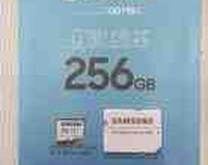 Mikro kart Samsung Evo Plus 256 GB