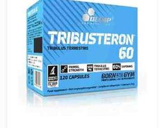 İdman qidası TRIBUSTERON