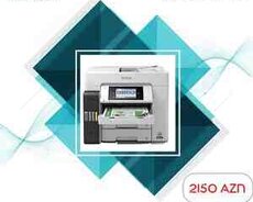 Printer Epson EcoTank L6550