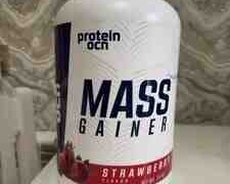 Gainer Protein Ocean
