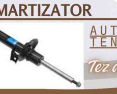 Ford fusion amortizatoru