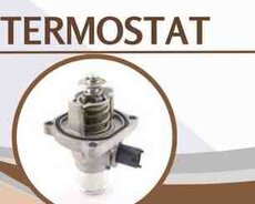 Volkswagen Tiguan termostatı