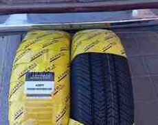 Austone şinləri 215, 65, 16C