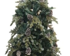 Yeni il ağacı / yolka 2216sp