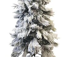 Yeni il ağacı / yolka