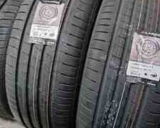 Lassa şinləri 235, 55, R19