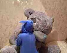 Oyuncaq ayı Teddy