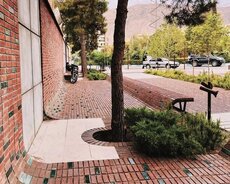 Zavoddan kerpiclerin satışı