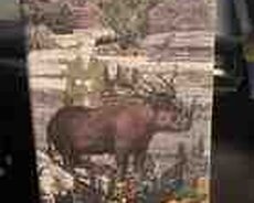 Penhaligon Terrible Teddy for men ətri