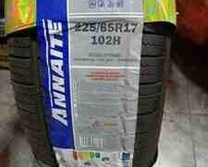Annaite şinləri 225, 65 R17