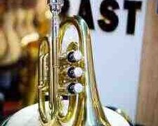 Trumpet mini