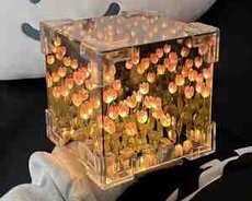 Zanbaq güzgülü işıqlı suvenir