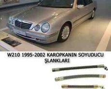 Mercedes soyuducu şlanqları