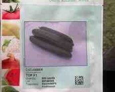 Superina f1 xiyar toxumu