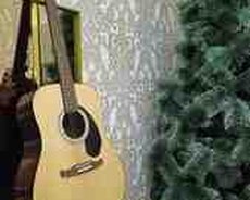 Fender FA-125 NAT akustik gitara