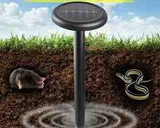 Günəş enerjisi ilə işləyən ilan qovan aparat