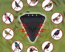 Günəş enerjisi ilə işləyən quş qovan aparat