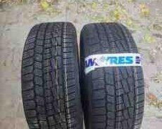 Viatti şinləri 225, 50 R17