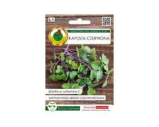 MikroGreen Qırmızı kələm toxumu