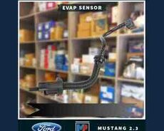 Ford Mustang 2.3 Evap sensoru