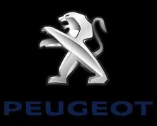 Peugeot Citroen ehtiyat hissələri