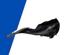 Kia Sportage 2016 ön qanadaltlığı