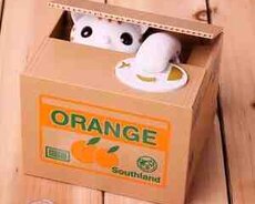 Qəpik oğurlayan və yığan pişik 030T14