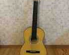 Gitara SN 3910