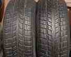 Şinlər 195, 55 R15