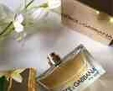 Ətir DolceGabbana