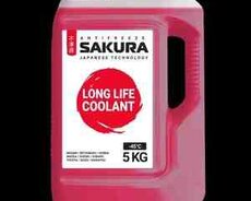 Toyota Lexus antifriz Sakura