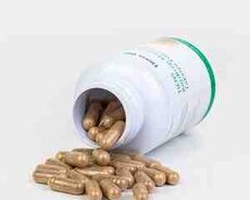 Kordiseps təbbi antibiotik, antioksidant