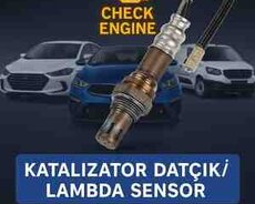Katalizator sensoru